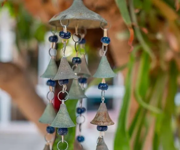 Cecilia's House * Jardim do Mar